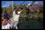 installing-crayfish-trap-at-lake-naivasha-kenya1